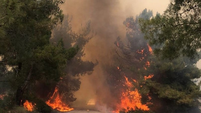 Orman yangınına neden olan kişiye 155 bin lira tazminat cezası