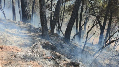 Orman yangınları sürüyor: Osmaniye'de yerleşim yerleri tahliye edildi