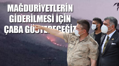 Ormanlar 10 gündür yanıyor... CHP'li vekil yangın bölgesinde