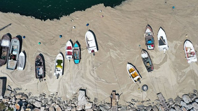 TBMM müsilaj sorununu araştıracak