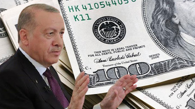 Ünlü ekonemistten Erdoğan'a 'rezerv' yanıtı
