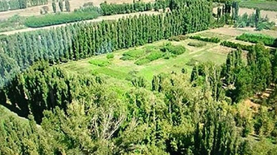 Uzman raporu açıklandı: Medipol’e izin çıkmadı