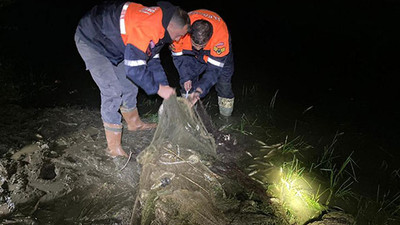 Van'da kaçak 3 ton inci kefali ve sazan avına 71 bin TL ceza