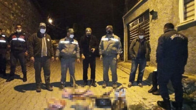 Yaban keçisi avlayanları pişman eden ceza