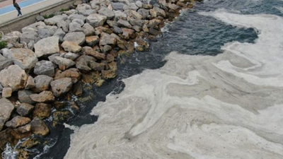 Yarkadaş, Marmara Denizi'ndeki deniz salyası felaketini yazdı