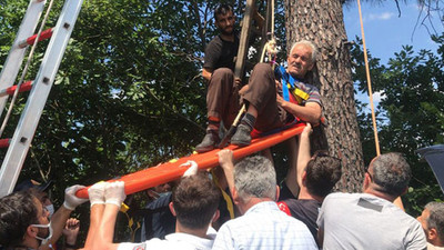 Yıpranan bayrağı değiştirmek için çıktığı ağaçta mahsur kaldı