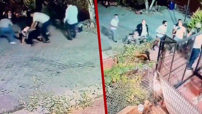 Yolsuzluk haberi yaptığı için evi basılan ve polis tarafından darp edilen gazeteci mesleği bıraktı