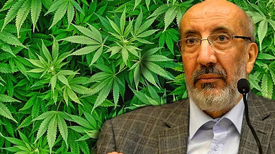 Abdurrahman Dilipak'tan orman yangınlarına çözüm: Kenevir ekelim