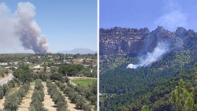 Antalya ve Adana'da orman yangınları 