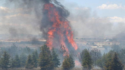 Atatürk Orman Çiftliği'ndeki yangının şüphelisi hakkında yeni gelişme