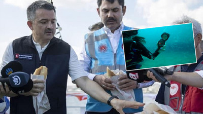Bakan 'bitti' deyip balık-ekmek yemişti: 17 metrede müsilaj tespit edildi