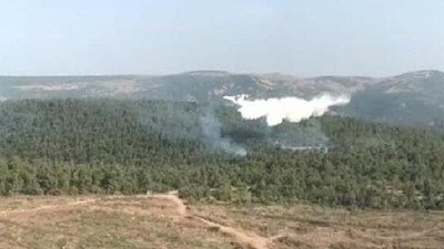 Bergama'da orman yangını