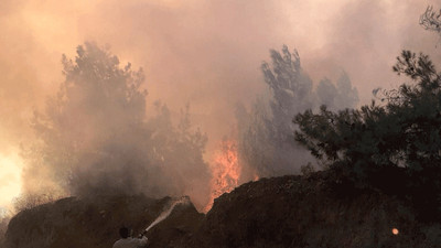 Bilecik'te orman yangını: 1 şüpheli gözaltında
