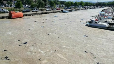 Çanakkale'de müsilaj kâbusu: 'Deniz dibinde yaşayan bütün canlılar yok olmuş'  