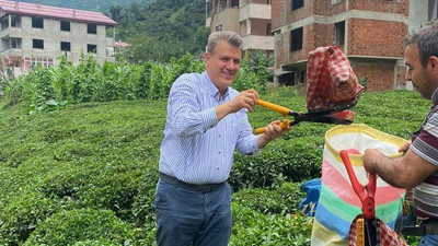 CHP'li Barut'tan ÇAYKUR'a kota ve kontenjan tepkisi: Karadenizlinin çığlığını duyun!