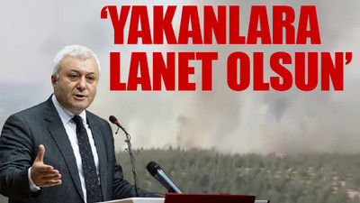 CHP'li Özkan duyurdu: Kilis'te de orman yangını