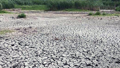 Eber Gölü de kurudu... 'Tükenmez sandık, canlıymış bilemedik'