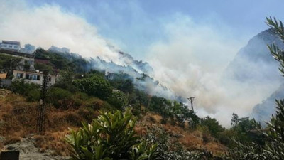 Hatay'da korkutan yangın: Yerleşim yerlerine sıçradı