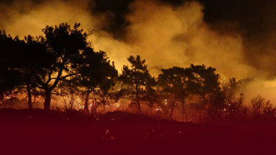 'Hatay ve Mersin'deki orman yangınları kontrol altına alındı'