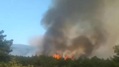 İzmir'de orman yangını