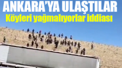 Kaçak göçmen istilası...