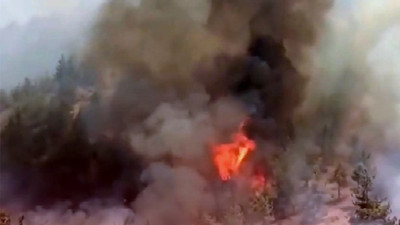 Kahramanmaraş'ta orman yangını