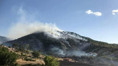 Kızılcahamam'da ormanlık alanda yangın