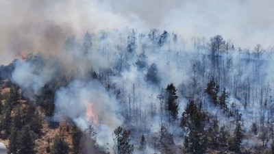 KKTC'de orman yangını