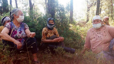 Köylüler ormanları katledilmesin diye bayramda nöbet tutuyor