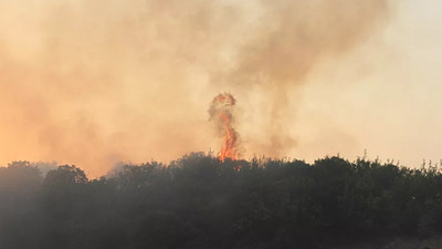 Manisa'da ormanlık alanda 6 farklı noktada yangın