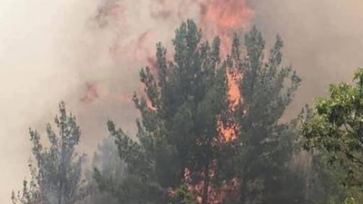 Mersin ve Hatay'daki orman yangınları ile ilgili 4 gözaltı
