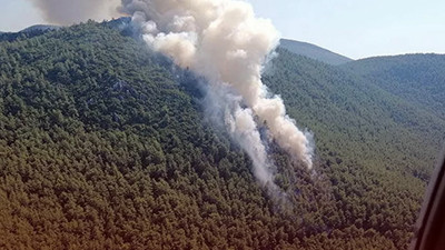 Muğla'da orman yangınıyla ilgili gözaltına alınan şüpheli tutuklandı