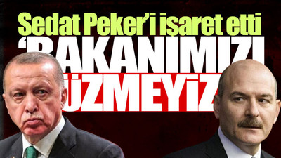 'Soylu, Erdoğan’ı teslim almış durumda' sözlerine AKP'den yanıt