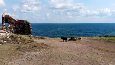 Tarihi kale ahıra döndü