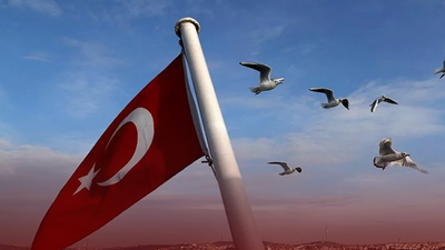 Türk bayrağını koparıp çöpe attı