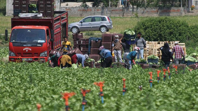 Üretici ile market arasındaki fiyat farkı 4 katı aştı