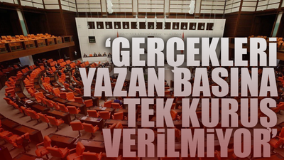 Yandaş basına ilan kıyağı Fuat Oktay'a soruldu