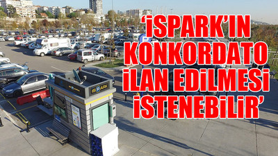 'AKP'nin yağma düzeni engellenemiyor'