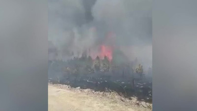 Alevlere teslim olan ATV ormanı tutuşturdu