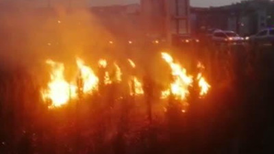 Ankara'da yeni ağaçlandırılan alanda yangın