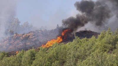 Aydın Valisi Aksoy'dan sabotaj açıklaması: Somut bilgi yok