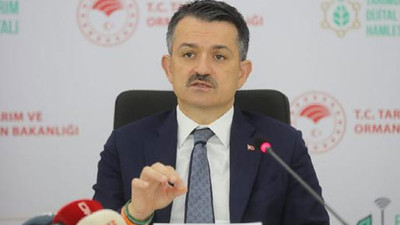 Bakan Pakdemirli'den Milas yangını açıklaması: Kanser gibi