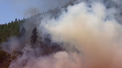 Balıkesir'de orman yangını