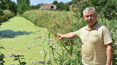 Bayır Deresi kirlilikten yeşile büründü
