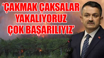 Bekir Pakdemirli'nin orman yangınlarından 2 hafta önceki sözleri ortaya çıktı