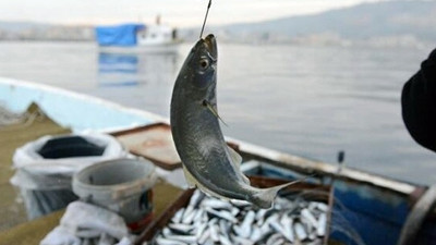 Bilim insanları "av sezonu ertelensin" diyor, balıkçılar karşı çıkıyor