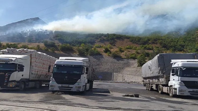 Bitlis'te orman yangını çıktı