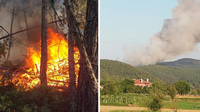 Bursa'da orman yangını