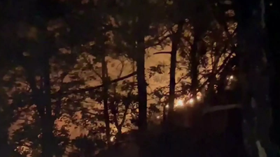 Bursa'da yıldırım düştü, ormanlık alanda yangın çıktı