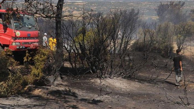 Çanakkale’de orman yangını